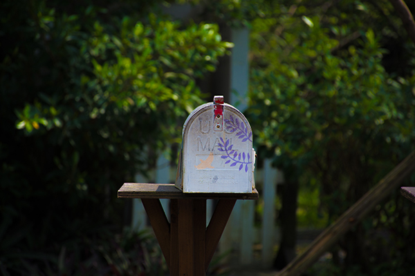 mailbox with purple leaf design